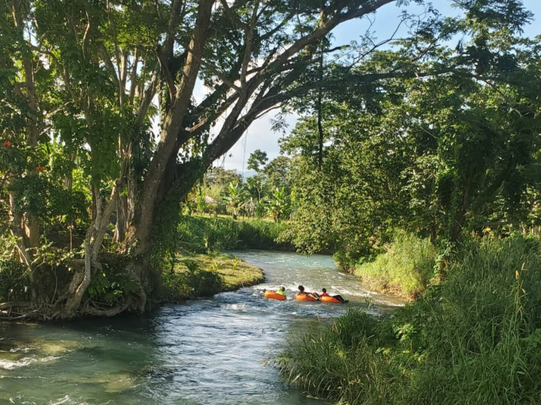 Yardy River Adventures景点图片
