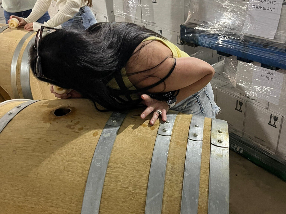 Tobin Wines景点图片