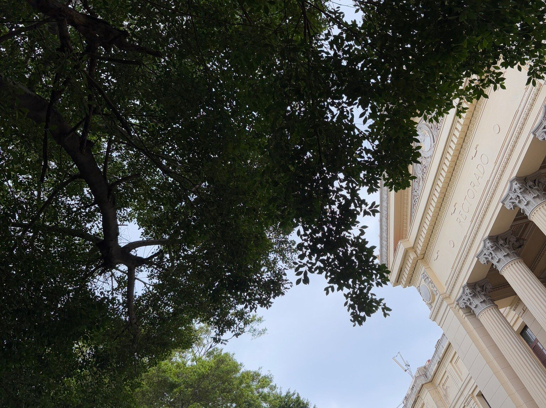 University of Havana景点图片