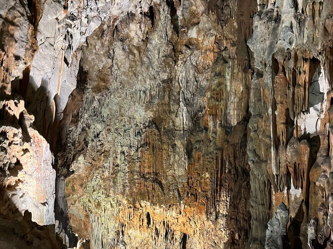 Grotta Gigante景点图片