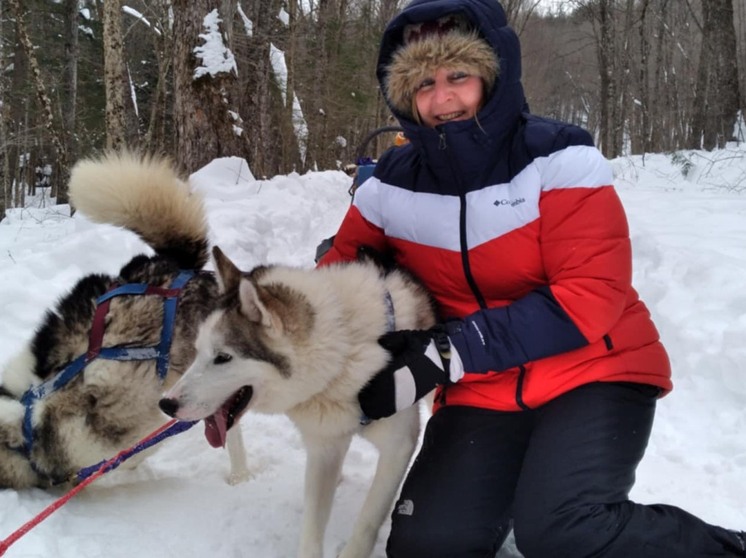 Winterdance Dogsled Tours景点图片