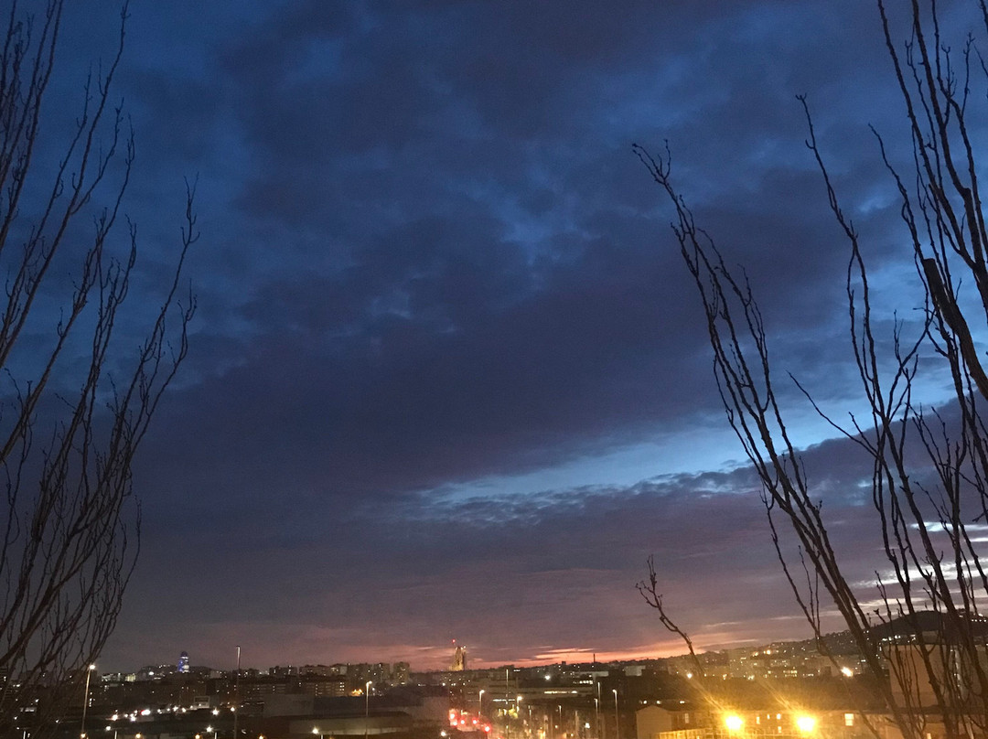 Parc del Molinet景点图片