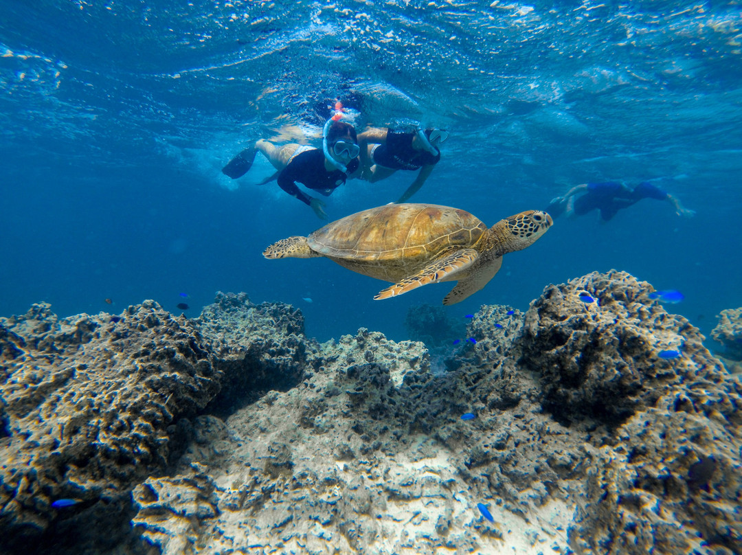 Sea Pace Rarotonga-堤堤卡维加必去景点