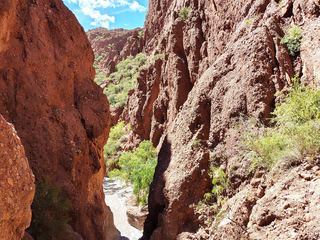 Centro Ecuestre Amazonas-Tupiza必去景点