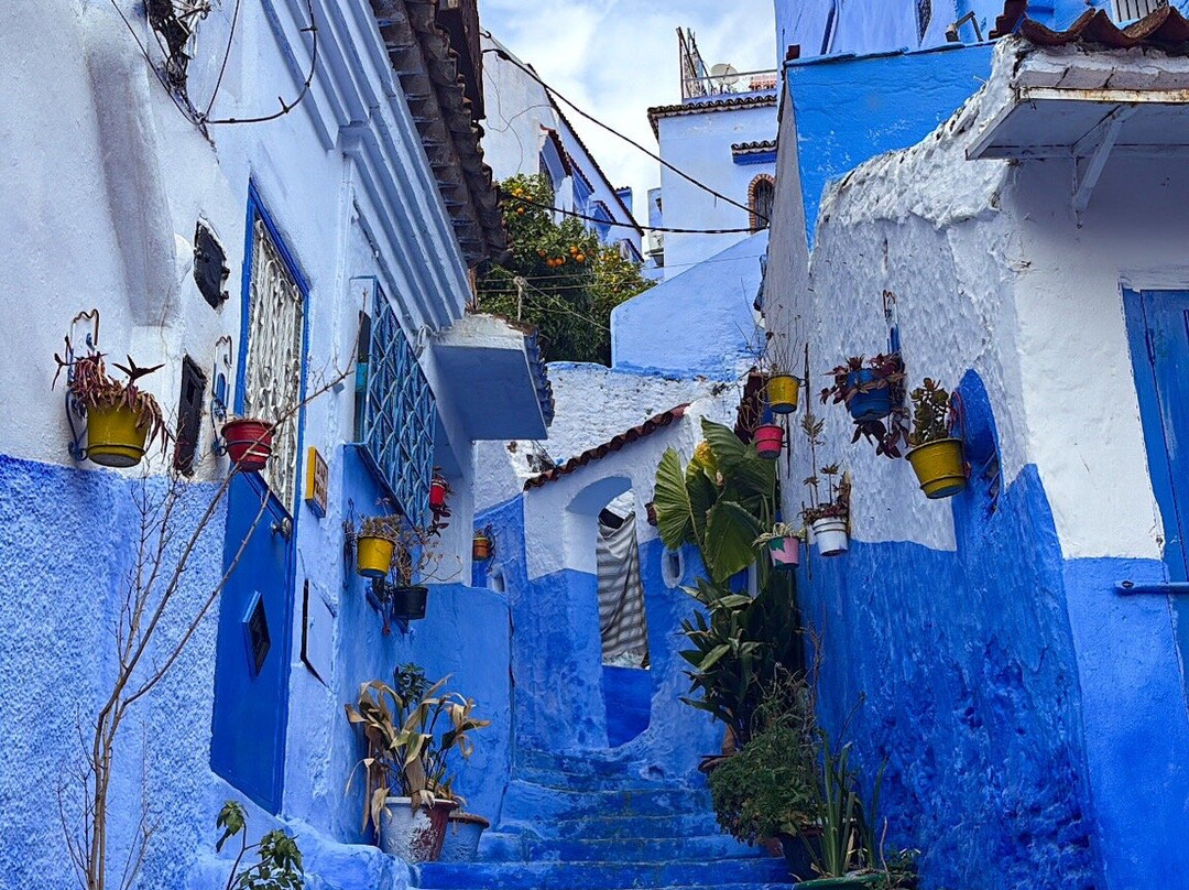 Fez City Tours-非斯必去景点