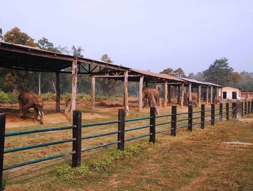 Elephant Breeding Centre-苏拉哈必去景点