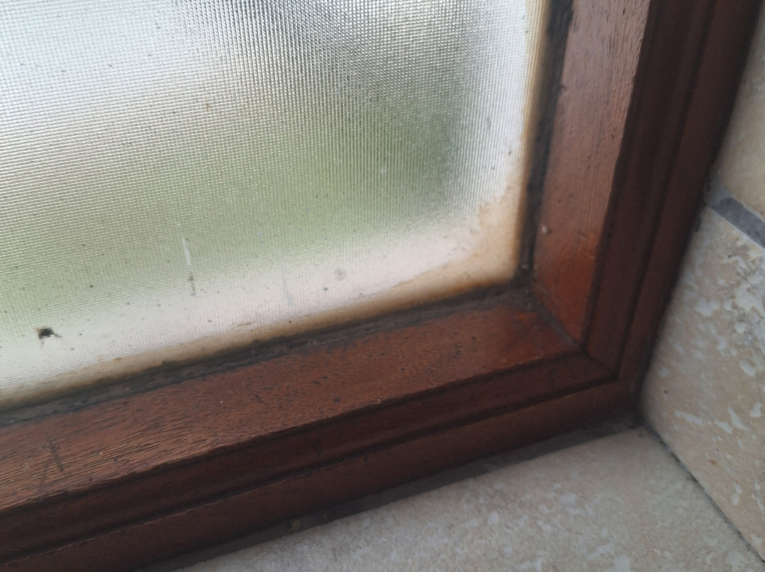 Assegaaibosch Country Lodge主图