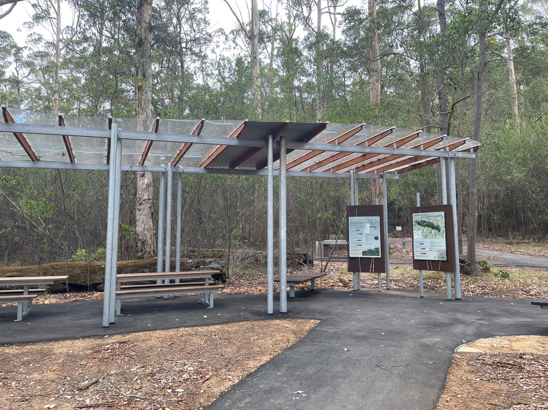 Tree In The Rock-Porongurup National Park必去景点