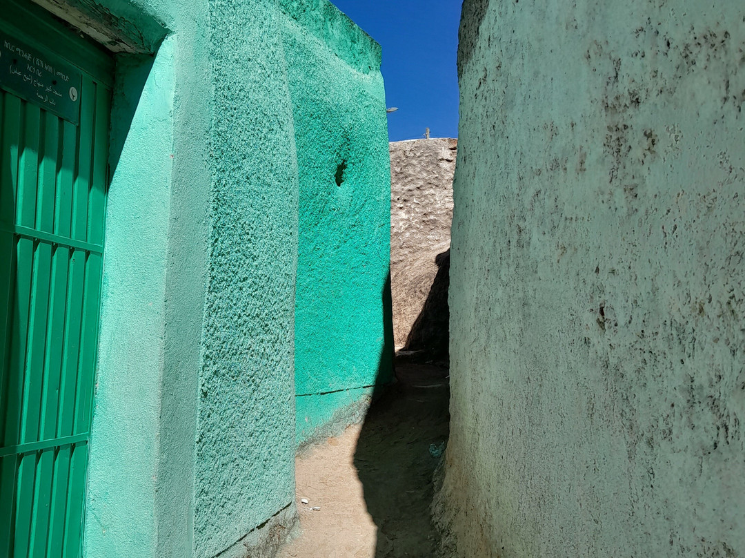 Joel Harar Tours景点图片