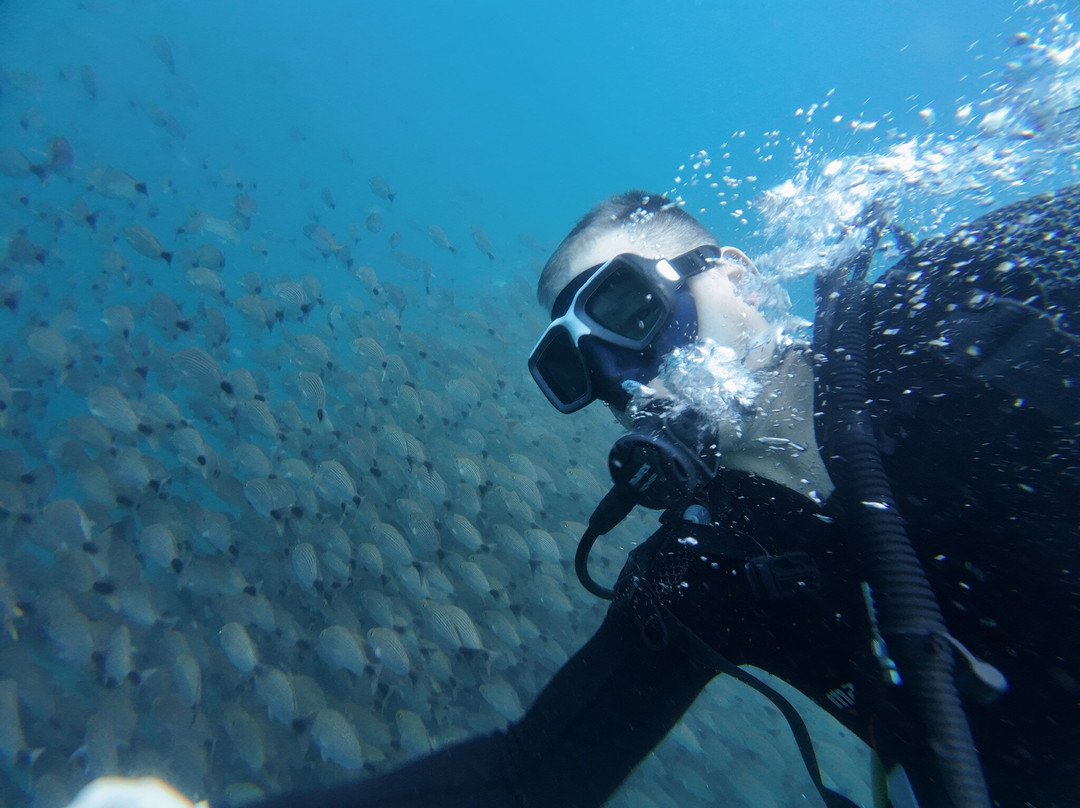TamaDive-塔马林多必去景点