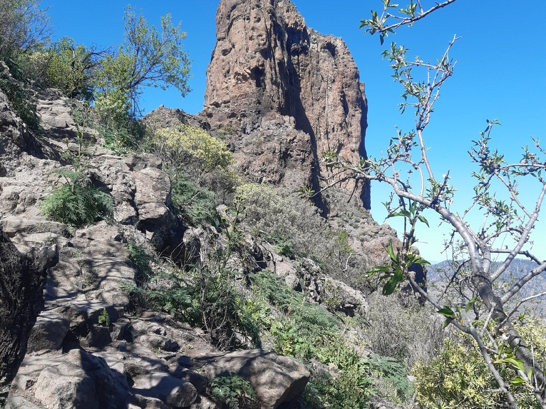 Roque Bentayga景点图片