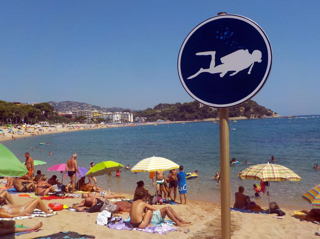 Playa de Fenals景点图片