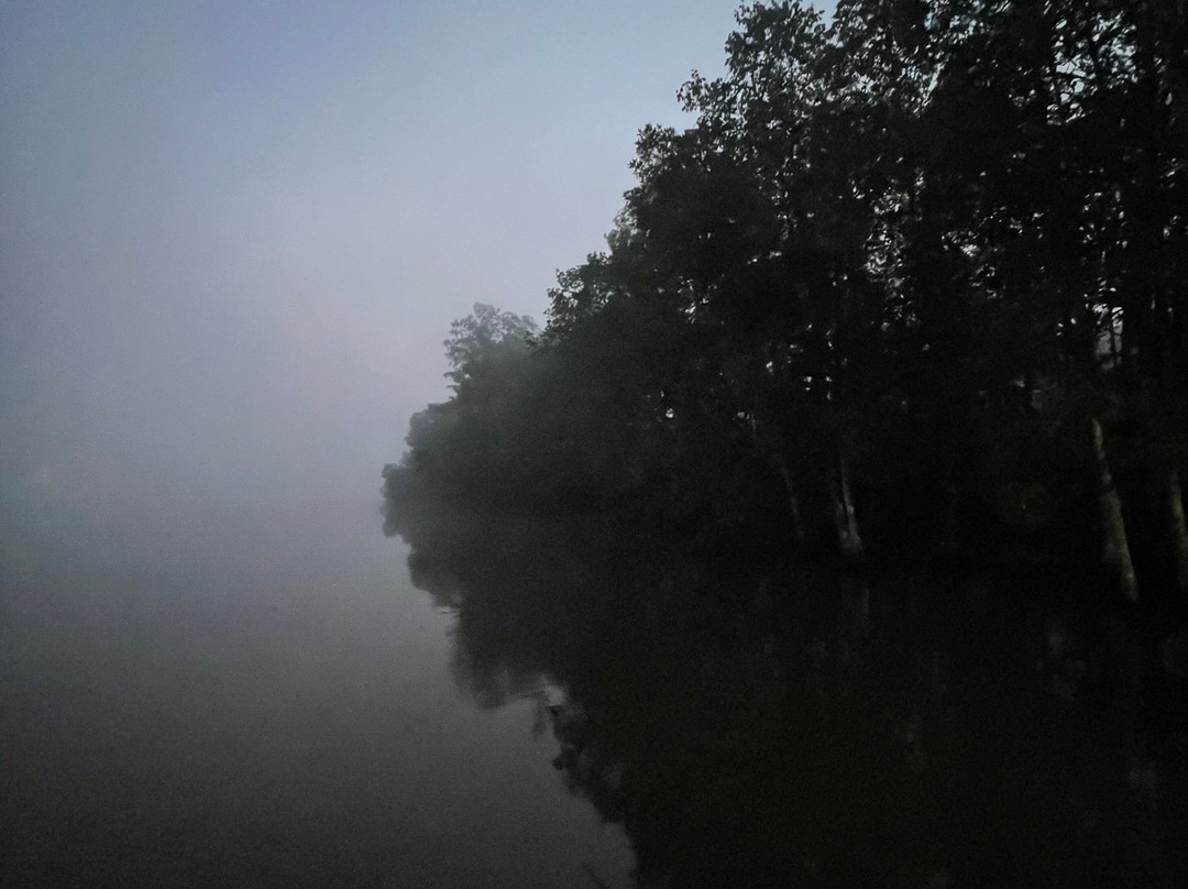 Oso de Osa Finca y Eco-Resort主图