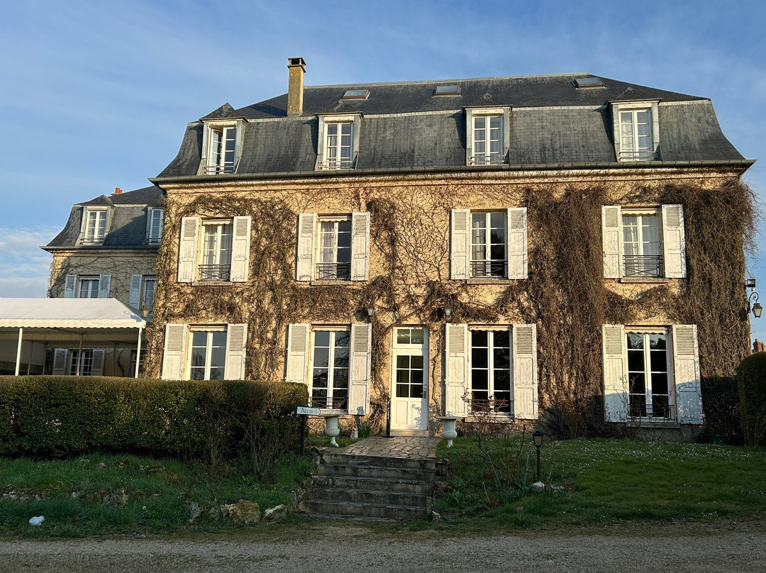 Chateau de Sancy主图