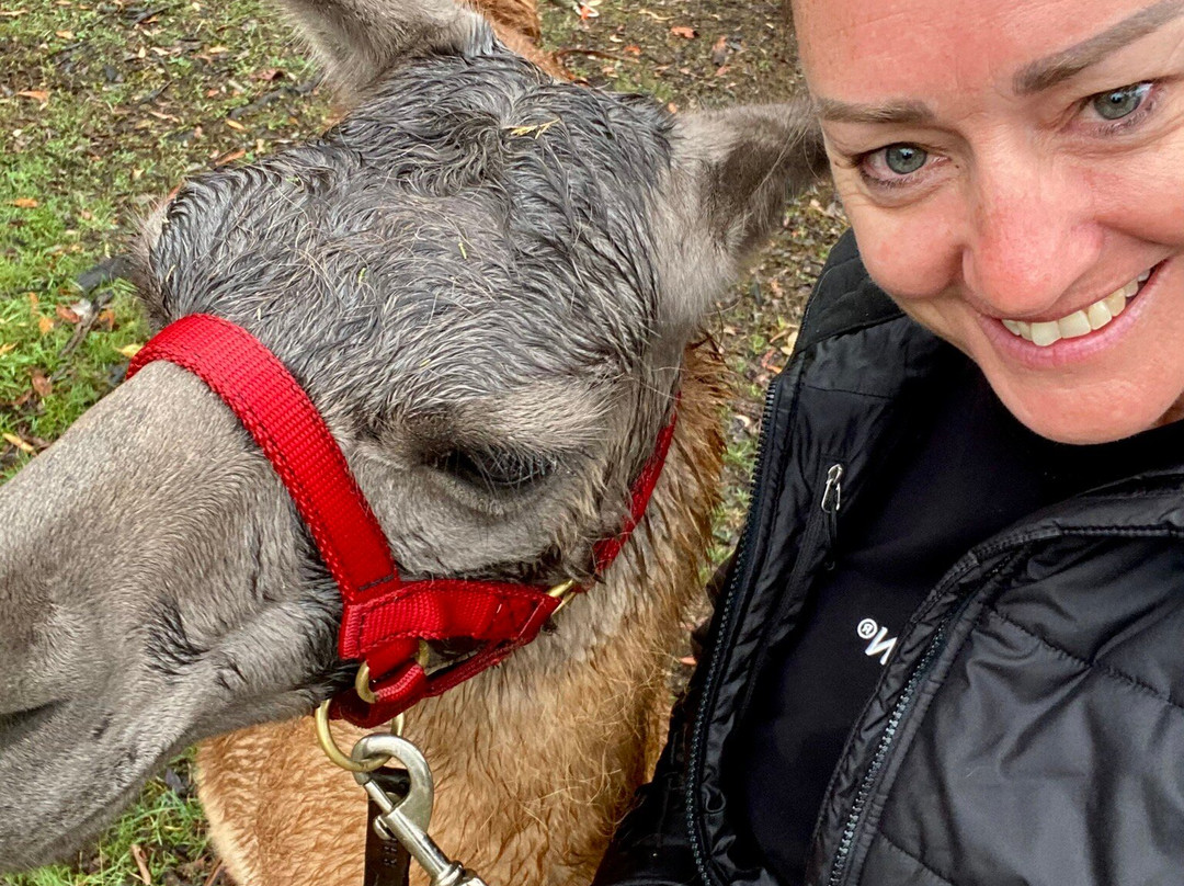 Hanging Rock Llama Treks-Woodend必去景点