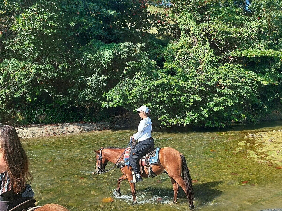 Rancho el Contento ( Cabarete )-Veragua必去景点