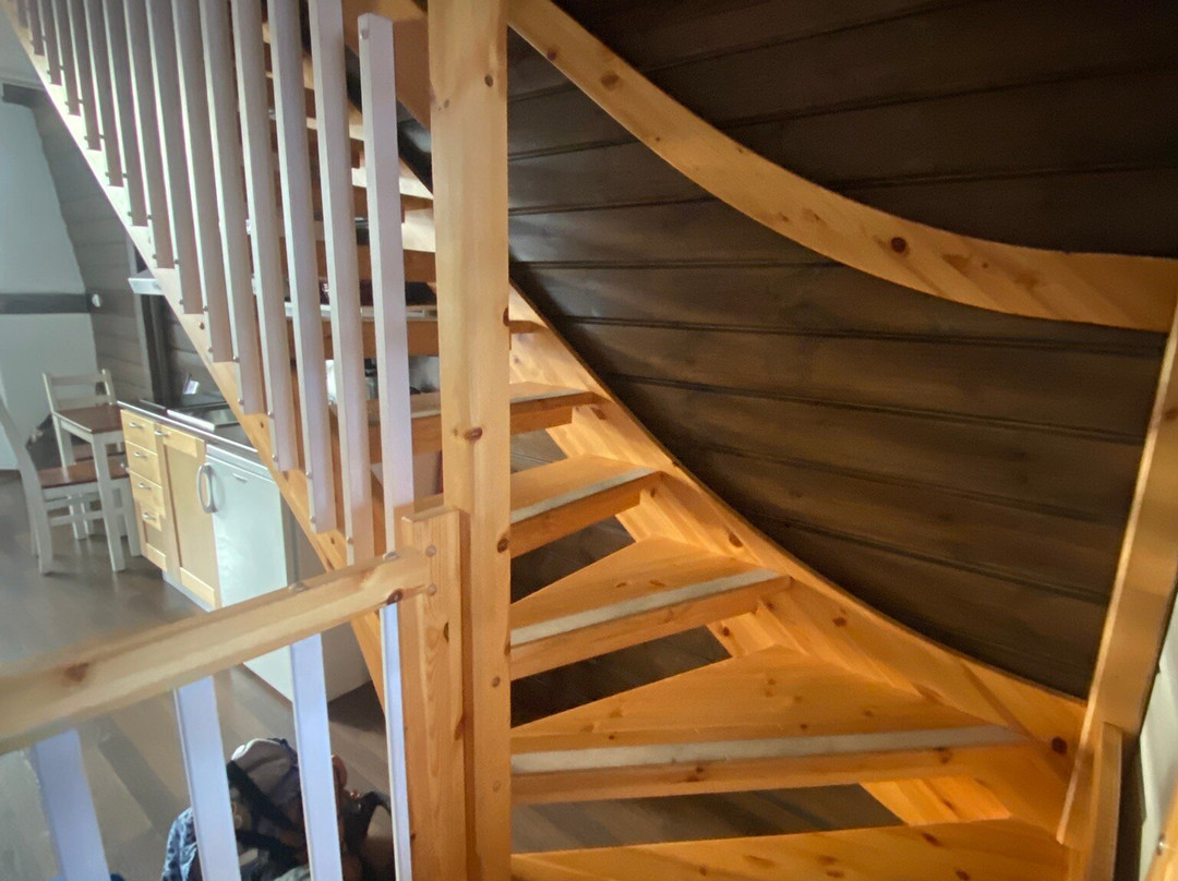 拉普兰熊之家酒店主图