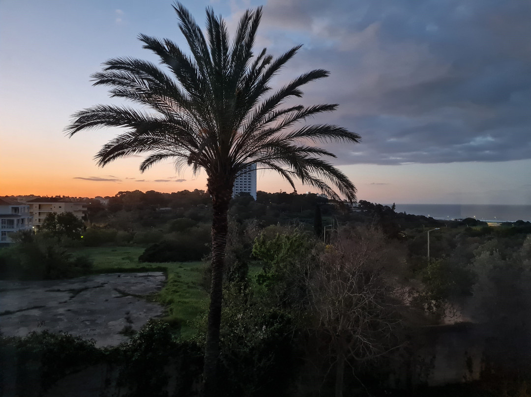 Pestana Alvor Park主图