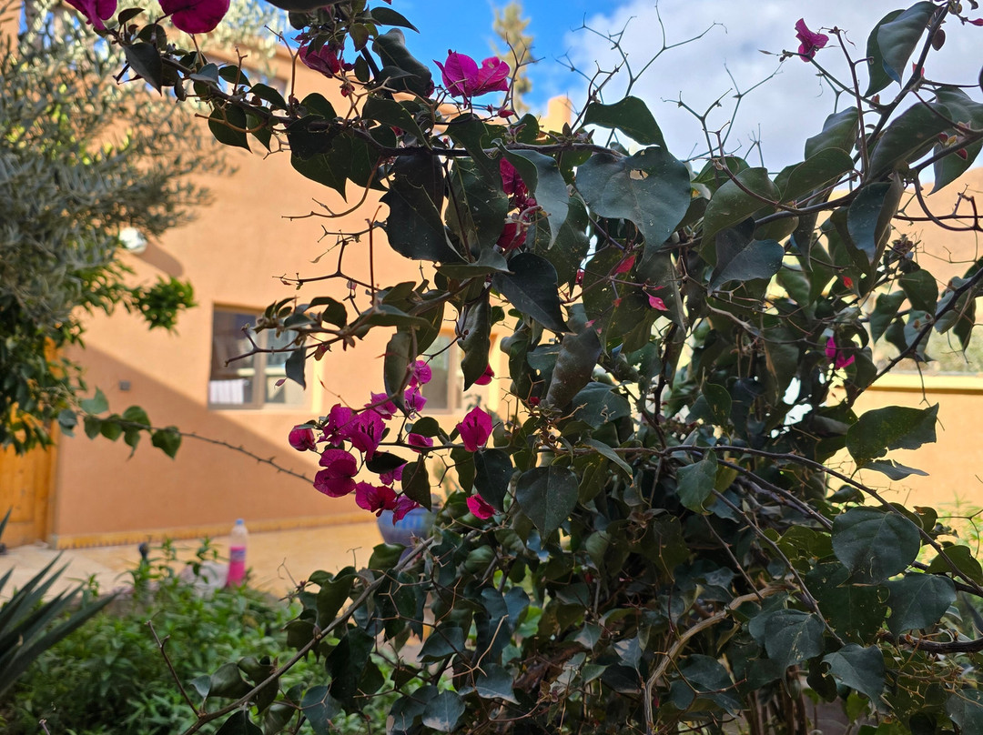 Auberge La Roche Noire主图