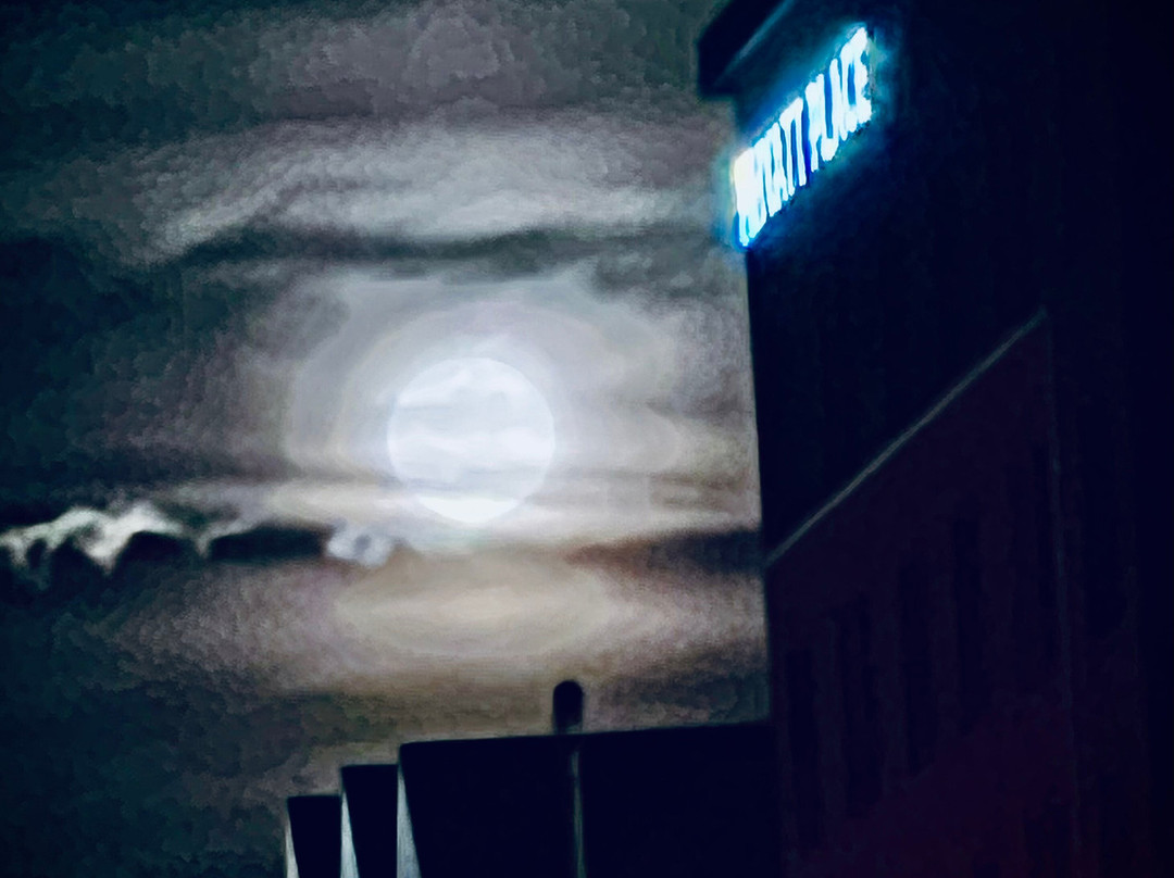 Hyatt Place Gainesville Downtown主图