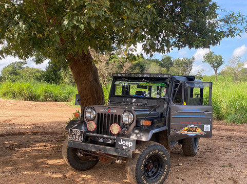 Nalin Jeep Safari-锡吉里亚必去景点