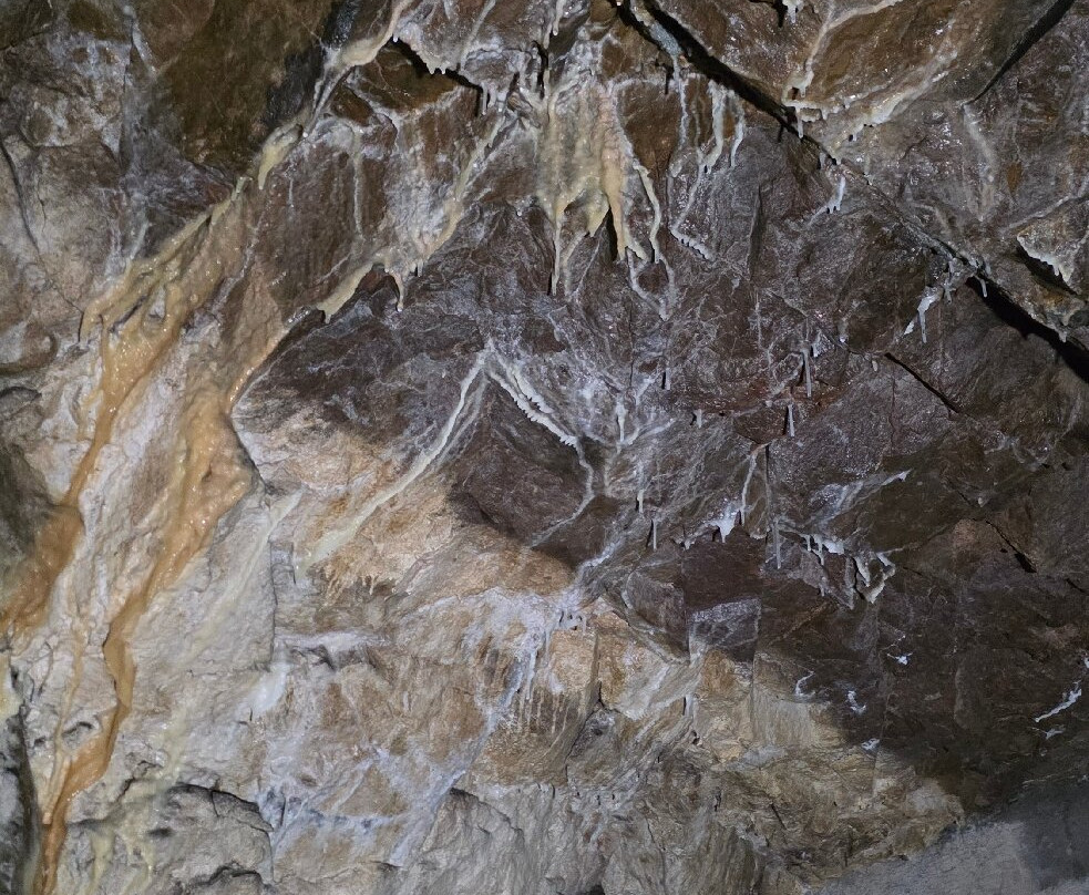 Bunker H景点图片