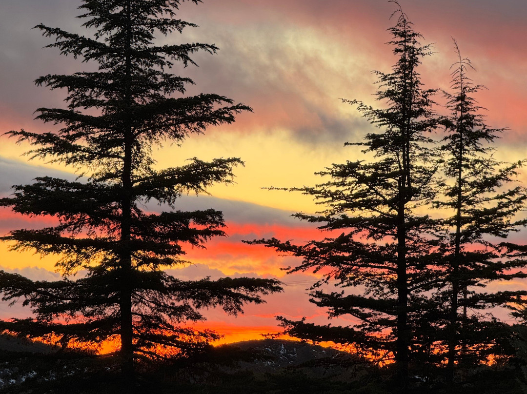 Bookshelf Winery And Venue-Anza必去景点