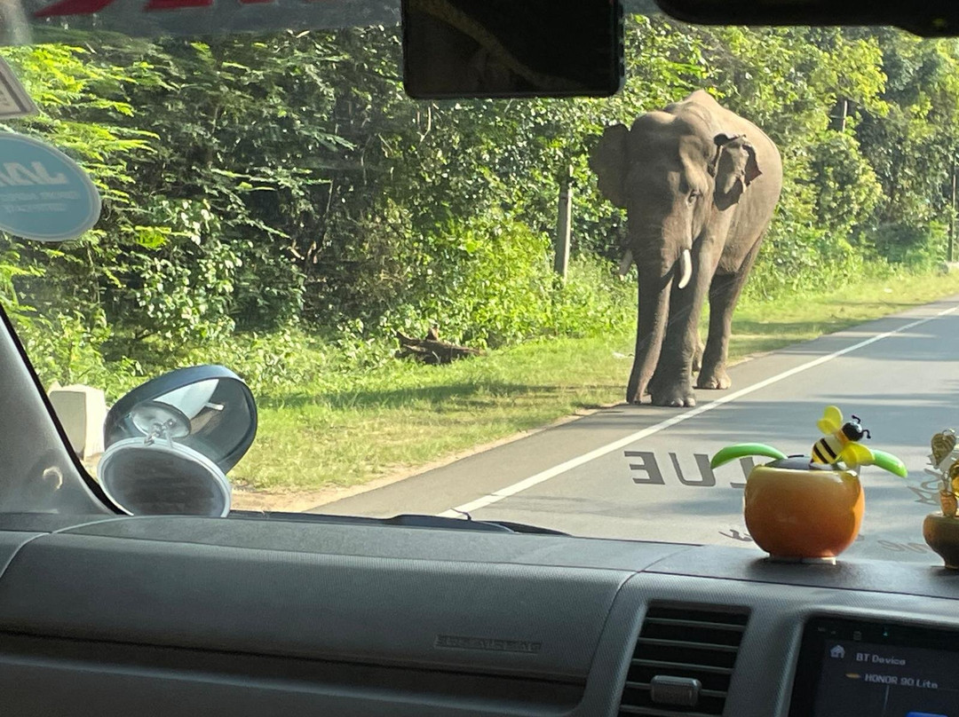 Sawa Travels Sri Lanka-科斯戈德必去景点