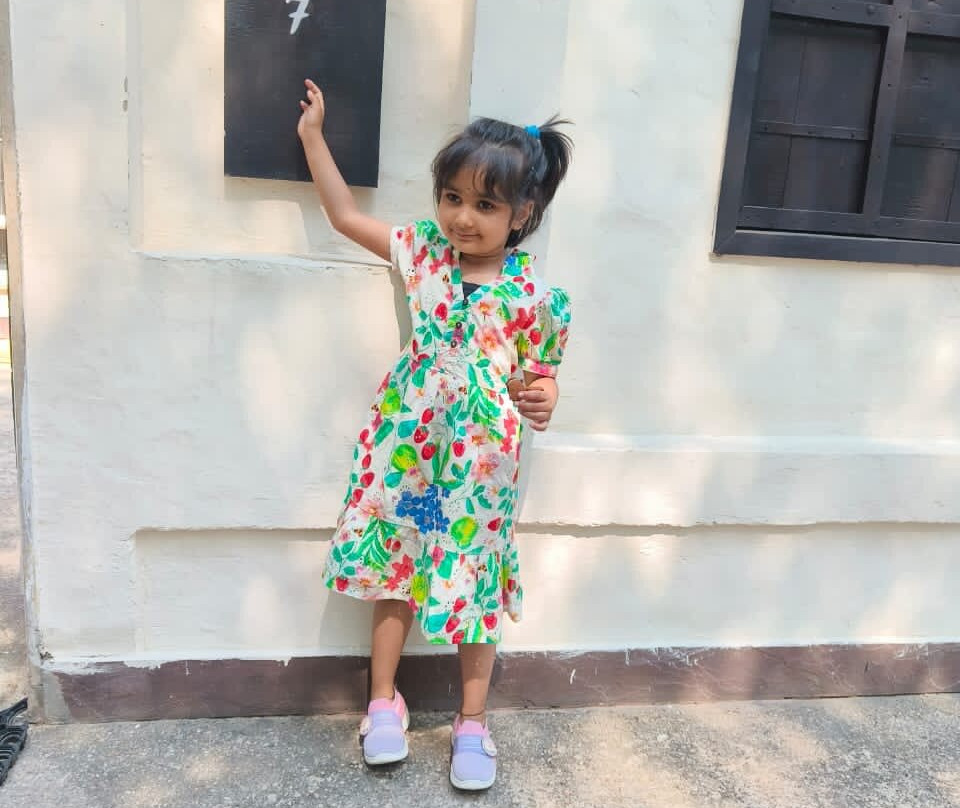 Trees N Tigers Sariska主图