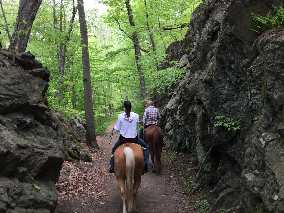 Westchester Trail Rides-Croton on Hudson必去景点