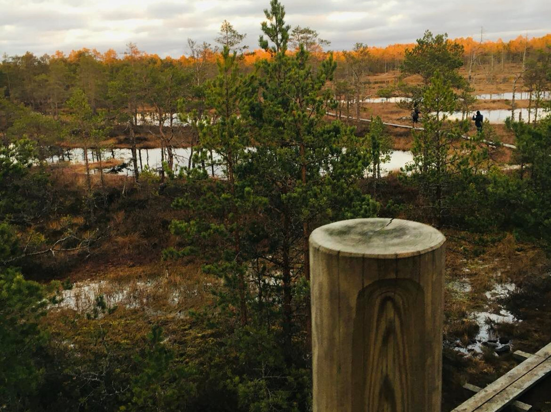 Solidride Oü-Joelaehtme必去景点