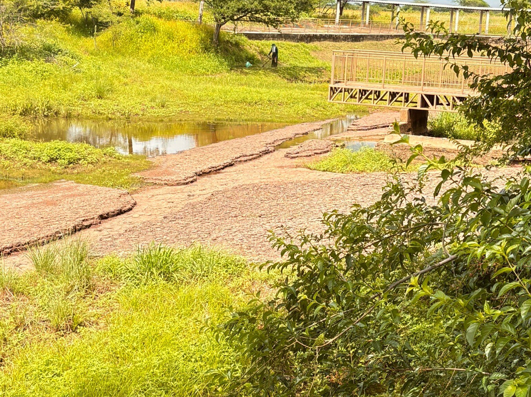Valley of the Dinosaurs-Sousa必去景点