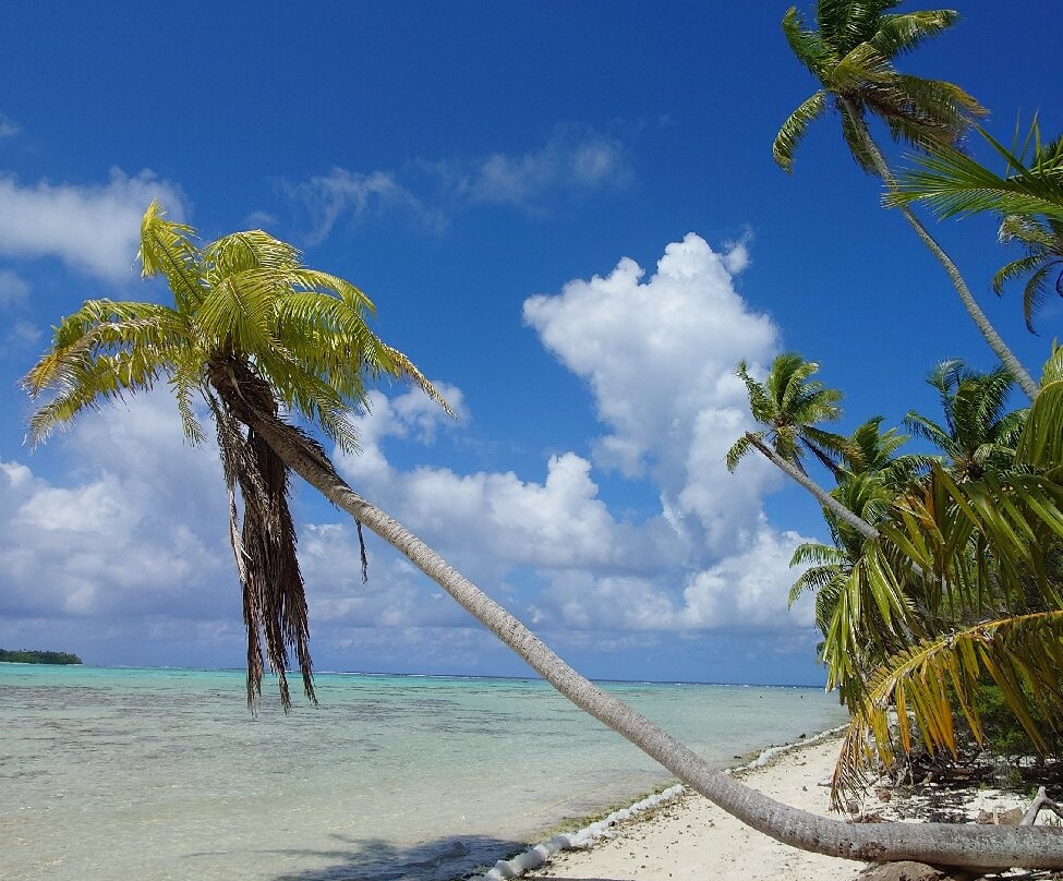 Escapade Charter Tahiti, Day tours景点图片