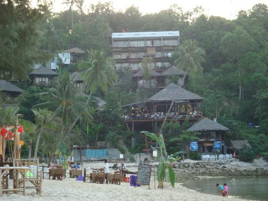 Cookies Bungalow主图