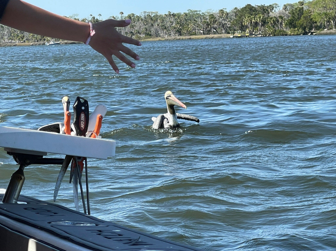 Native Fishing Charters & Airboat Tours-克里斯特尔里弗必去景点
