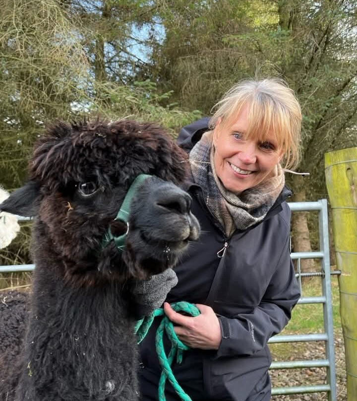 Alpaca Days Out-埃尔金必去景点