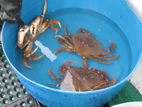 Old Skipper Bed and Breakfast主图