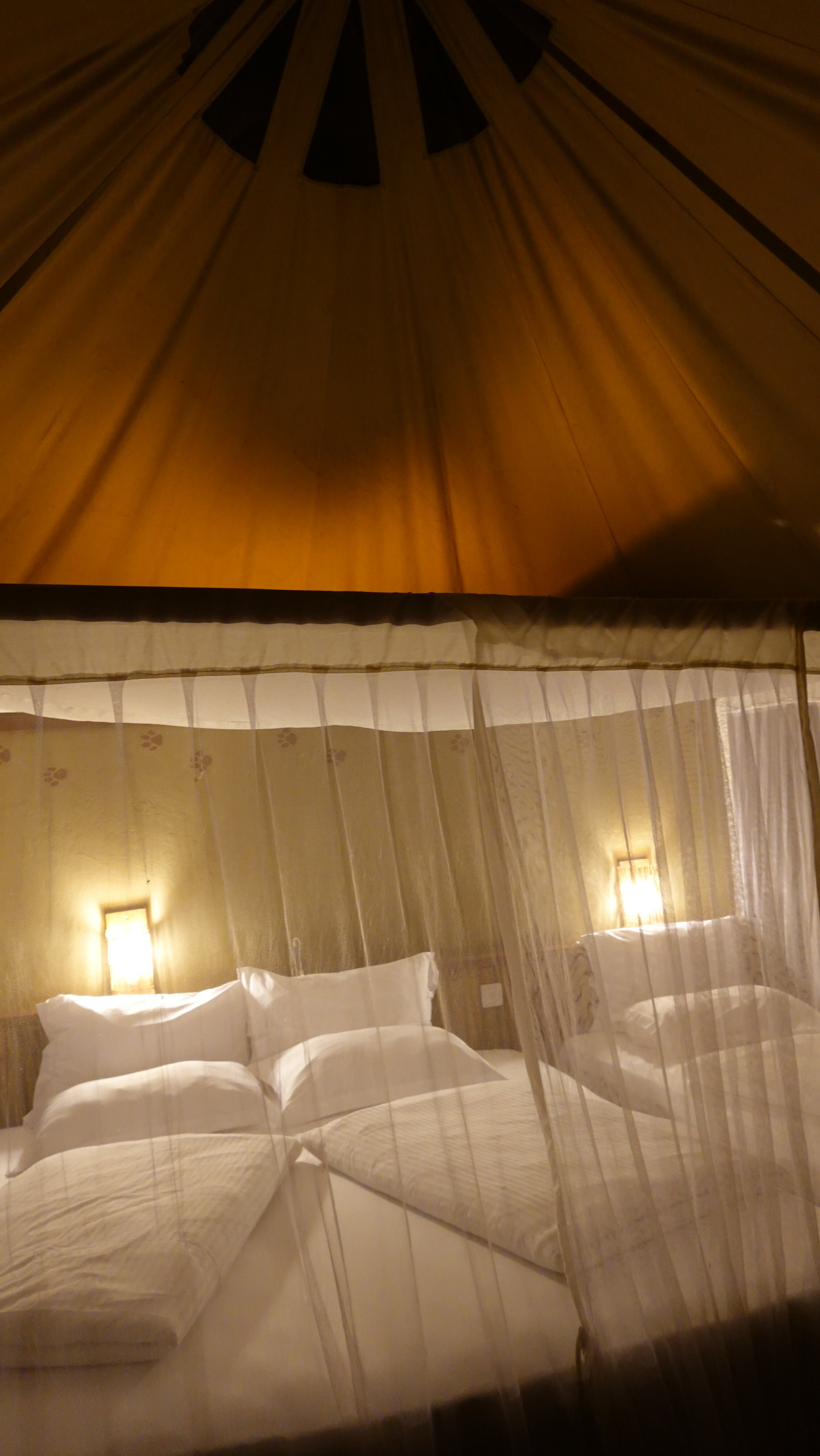 Severin Safari Camp-客卧