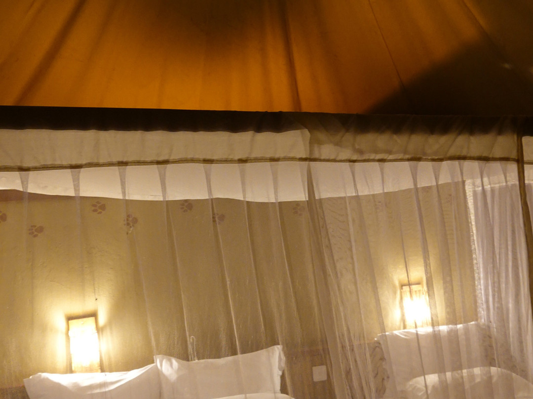 Severin Safari Camp主图