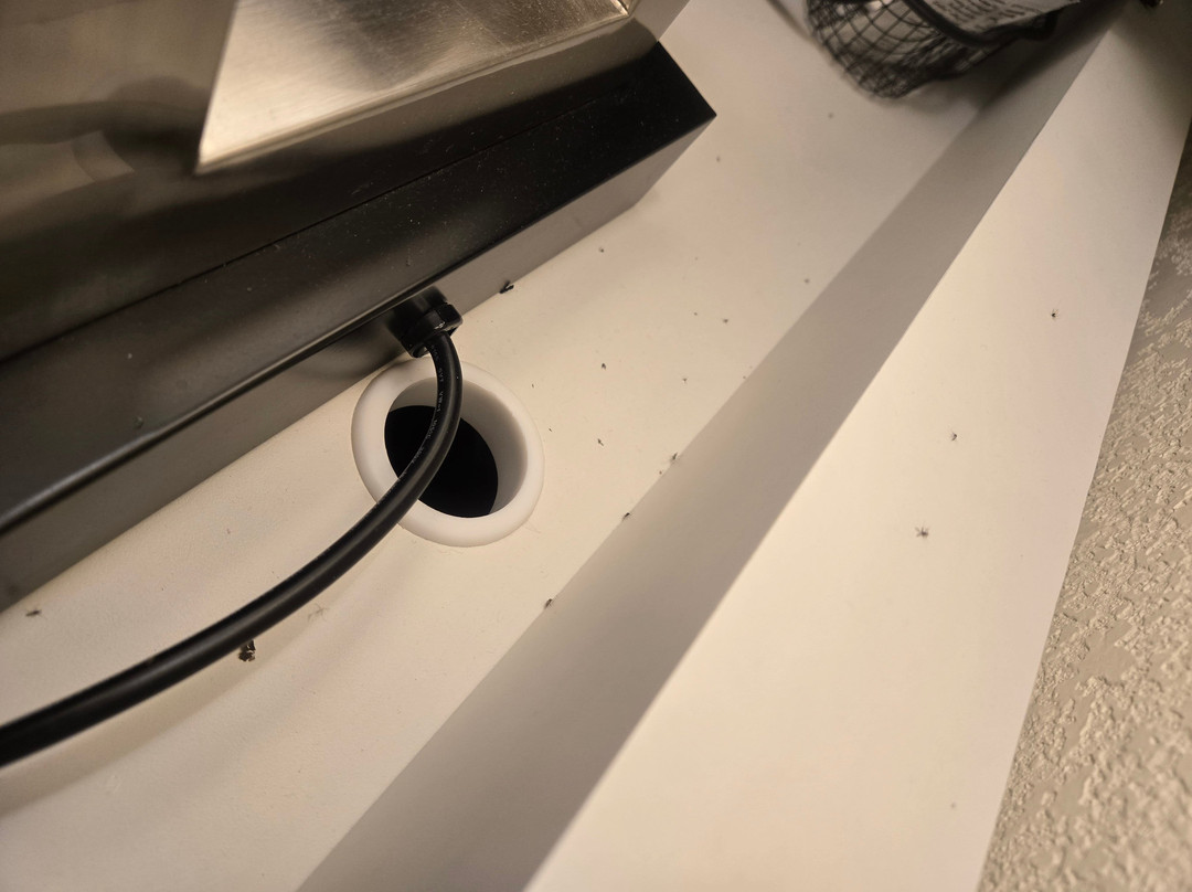 Village Inn Hotel & Event Center, Trademark Collection by Wyndham主图