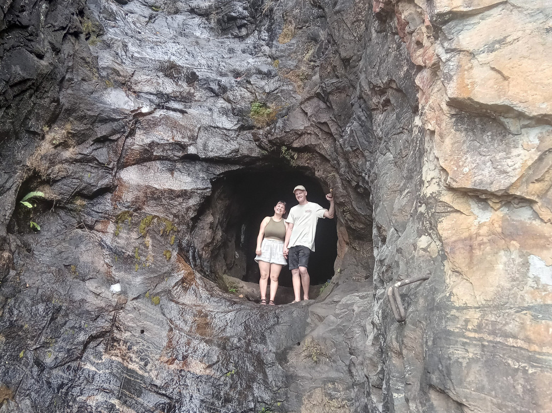 Jungle Village Homestay主图