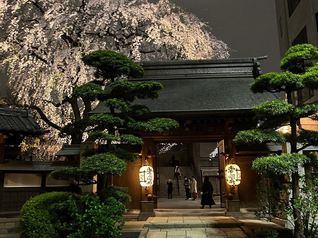 Joenji Temple-Nishishinjuku必去景点
