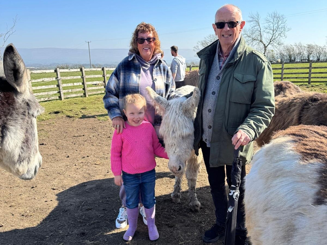 Barnhill Donkeys Retreat Sleagill景点图片