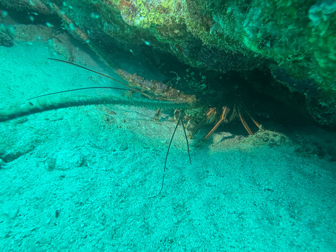 JADS Dive Center景点图片