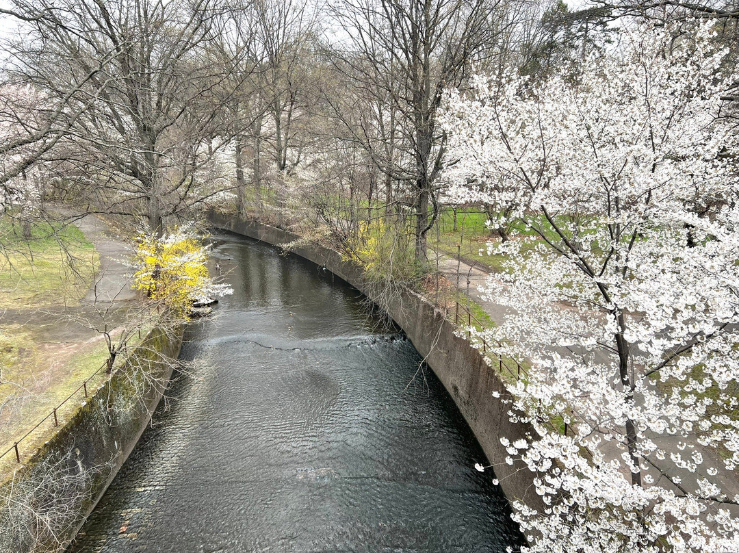 Branch Brook Park景点图片