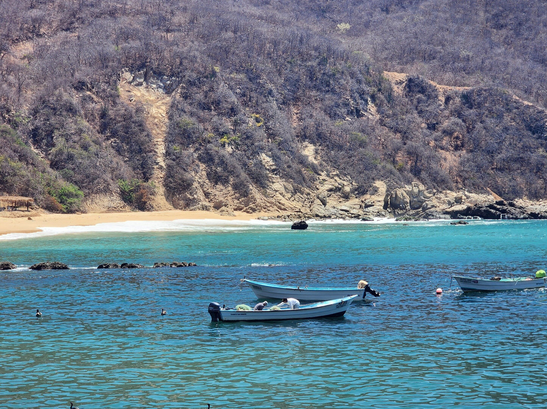 Banderas Tours景点图片