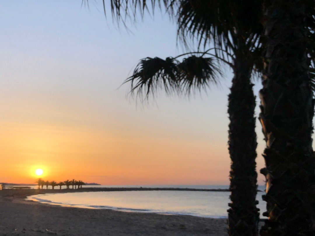 Platja De l'Ardiaca景点图片