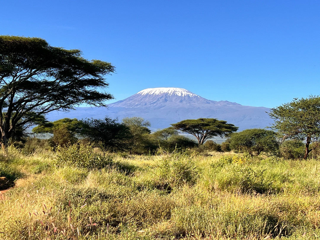 MAASAI AFRICAN GUIDES & DMC Ltd.-阿鲁沙必去景点