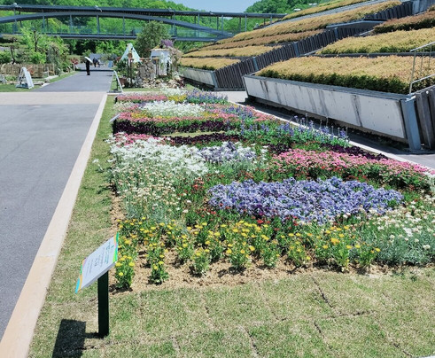 Hana Festa Memorial Park-可儿市必去景点