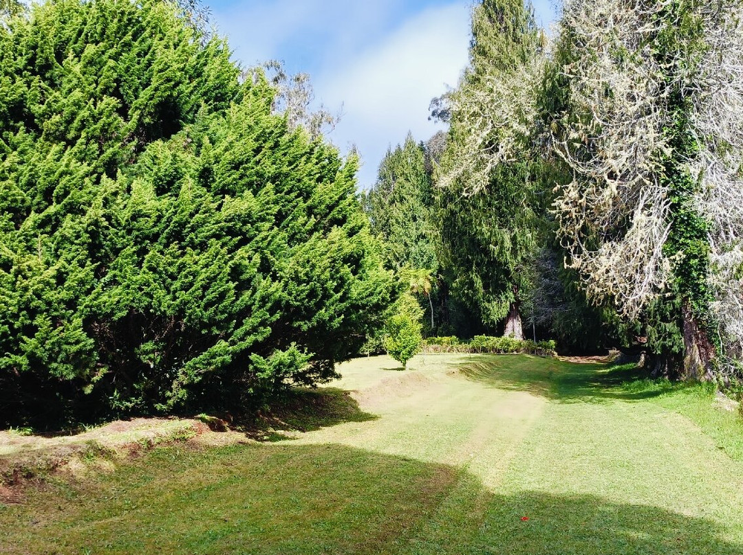 Enotel Santo Da Serra主图